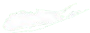 Suffolk County